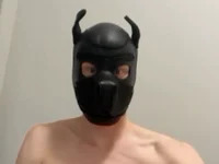 maskedstud2026 avatar