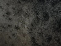 nymphoblackbe avatar