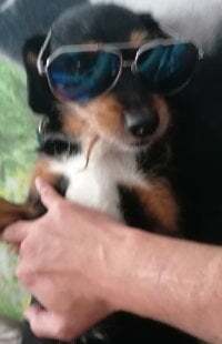 oliver2384 avatar