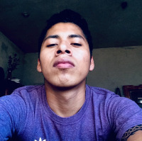 pandaexpreso avatar