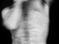 pelosenelcuerpo avatar