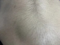 phussyfucker avatar