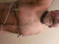 piggy4pain avatar