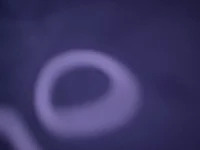 plexr avatar
