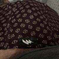 puneribull avatar