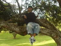 pure_visio avatar