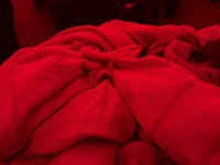 pussylover69097 avatar