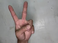 qaqa820611 avatar