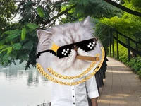 rajaaaaa11 avatar