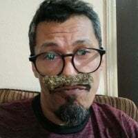 rfpicasso avatar