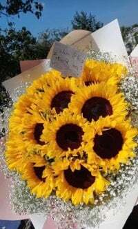 rosaditapussy avatar