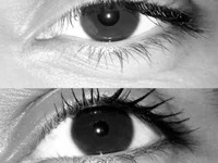 saratrr avatar
