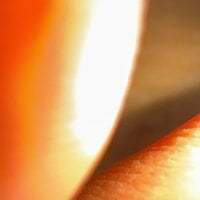 sexyfucker1237 avatar