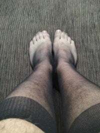 sheer_socks avatar