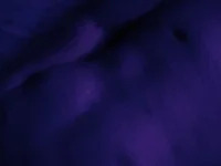 silbon69 avatar