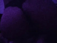 soloviva69 avatar
