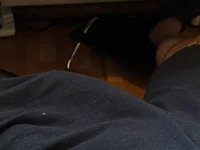 steelxXX_ avatar