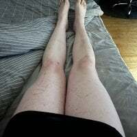 submissivesissybitch avatar