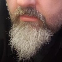 the-kinky-wookiee avatar
