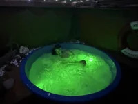 thehotieguy avatar