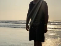 themexaboy avatar