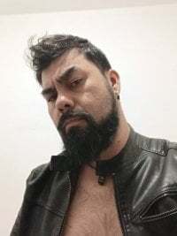 thethickbear avatar