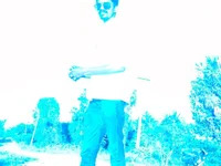 tnj_njr avatar