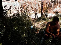 uyujhi avatar
