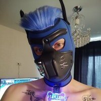 vapir1 avatar