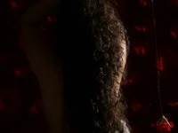 velarynox avatar