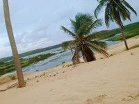 welitonzz28 avatar