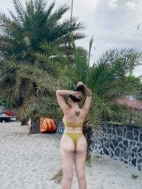 wildest_fantasy avatar