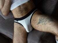 wildfurxx avatar