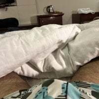 your-hugehard-ashi avatar