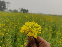zindagijio avatar