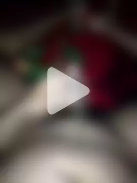 -epicene_bullock- photo 10