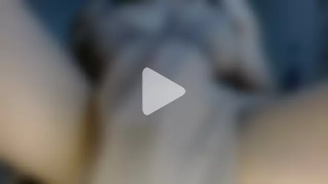 10inchBigCUMSHOT photo 22