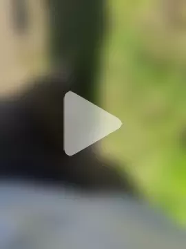 123FuckMePlease photo 14