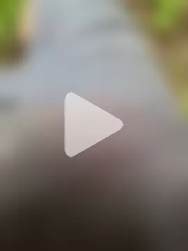 123FuckMePlease photo 4