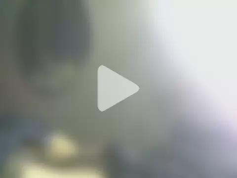 18cm2hrcarlos photo 2