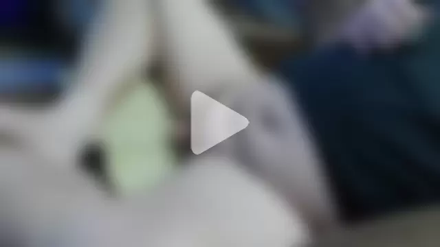 1964peterbilt1 photo 2