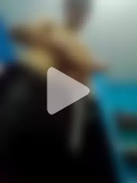 1Dseralmora2 photo 16