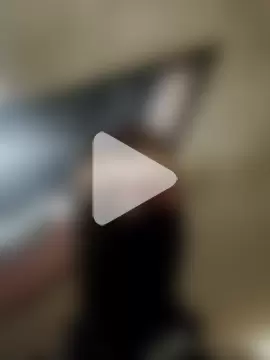 1Dseralmora2 photo 1