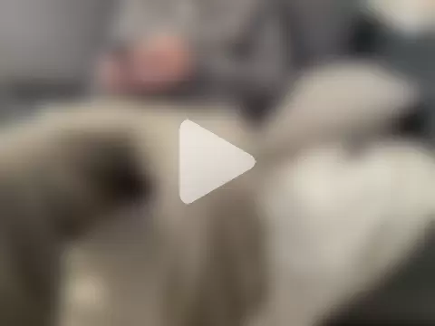 4small4inchlol photo 7