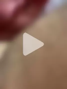 81erDuuWeist photo 1