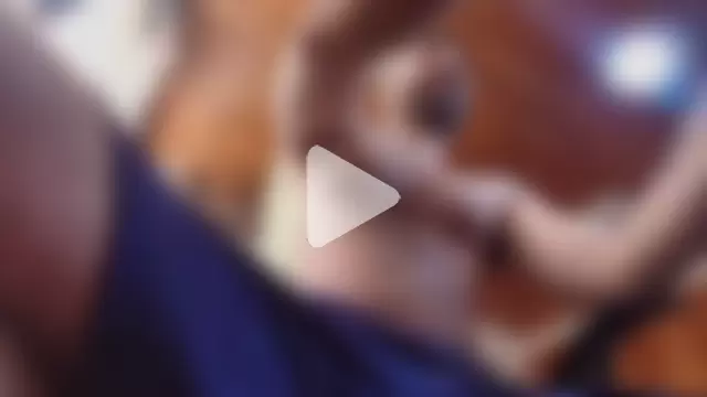 ADONIS_ART01 photo 16