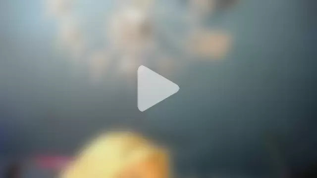 ADRIANNA_FOX photo 20