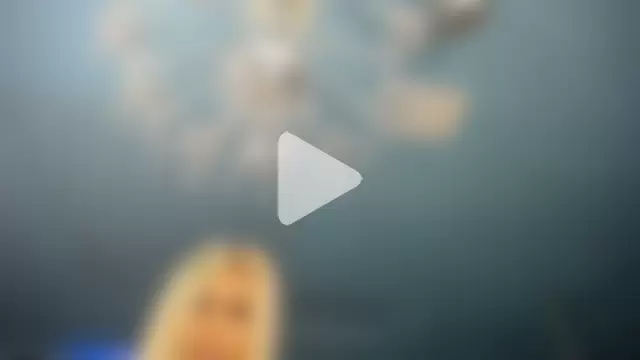 ADRIANNA_FOX photo 8