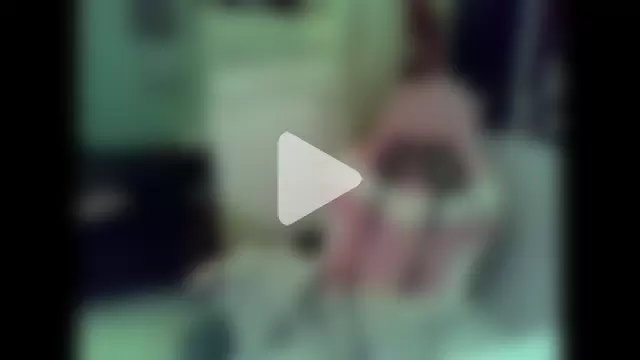 Abysparadise photo 24