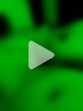 Activo51 photo 2